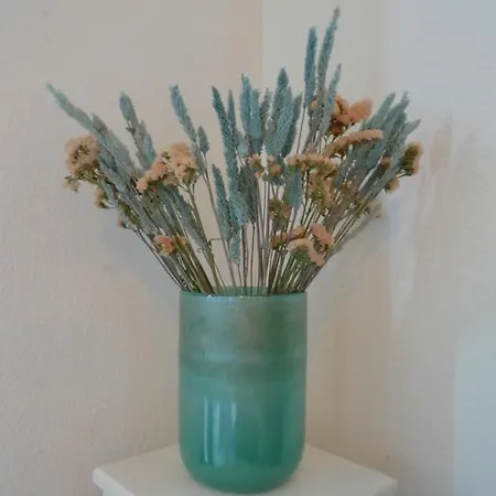 Nidu Accogliente In Balagna Apartamento LʼÎle-Rousse