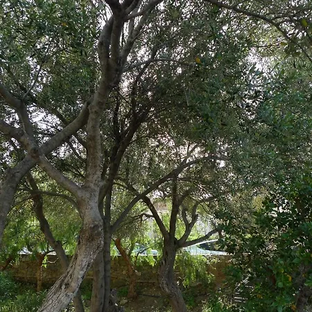 Apartamento Nidu Accogliente In Balagna LʼÎle-Rousse