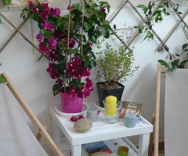 Nidu Accogliente In Balagna 公寓 *