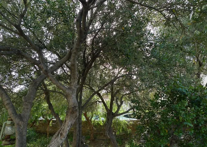 公寓 Nidu Accogliente In Balagna LʼÎle-Rousse