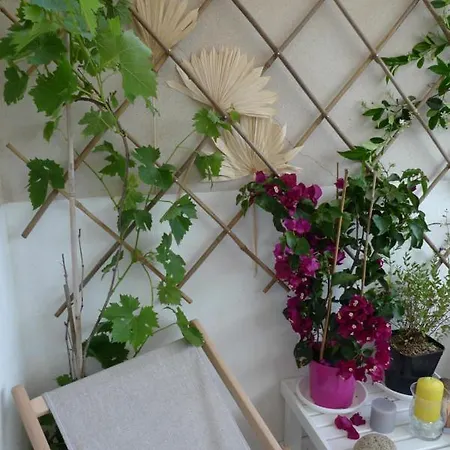 Nidu Accogliente In Balagna