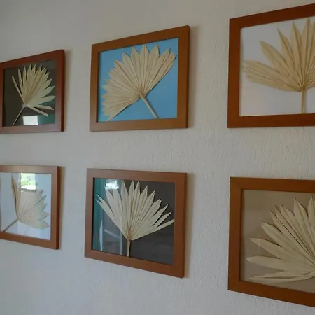 Nidu Accogliente In Balagna Apartament