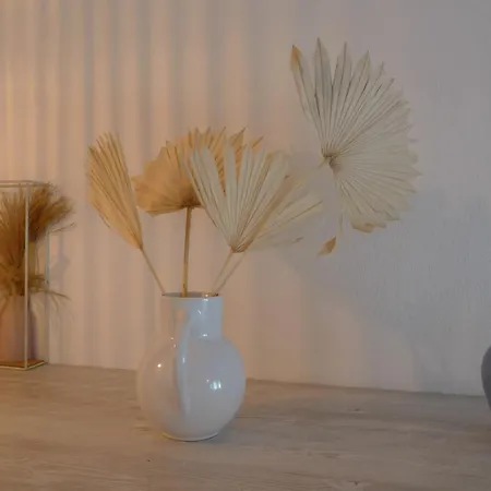 Nidu Accogliente In Balagna Apartment