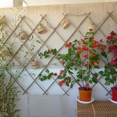 Apartment Nidu Accogliente In Balagna *