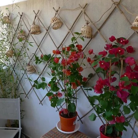 Nidu Accogliente In Balagna Apartament