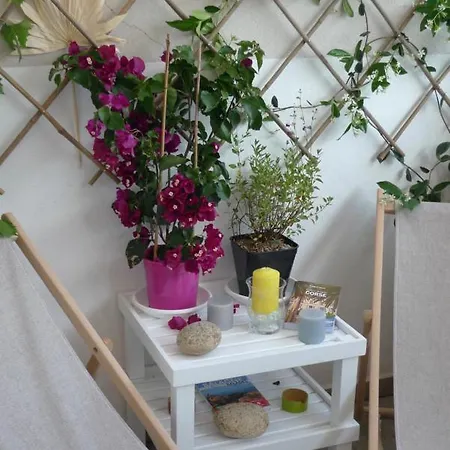 Nidu Accogliente In Balagna Appartement *