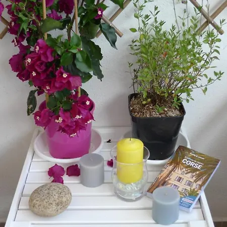 Nidu Accogliente In Balagna Apartment LʼÎle-Rousse