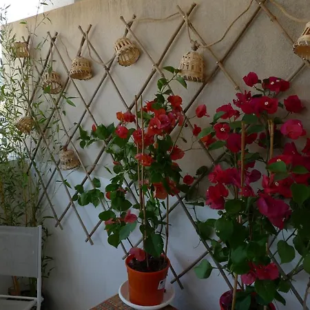 Apartament Nidu Accogliente In Balagna *