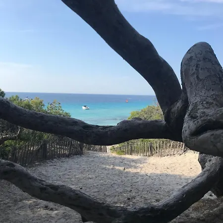 Apartment Nidu Accogliente In Balagna L'Ile-Rousse (Corsica)