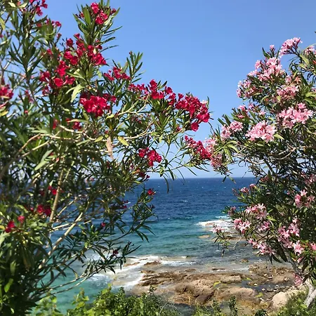 Apartament Nidu Accogliente In Balagna *