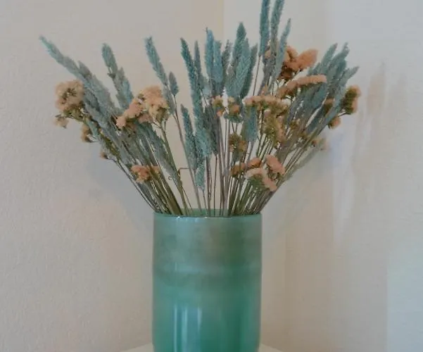 Nidu Accogliente In Balagna Appartement LʼÎle-Rousse