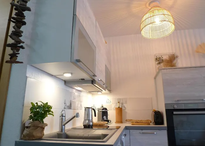 Nidu Accogliente In Balagna Appartement