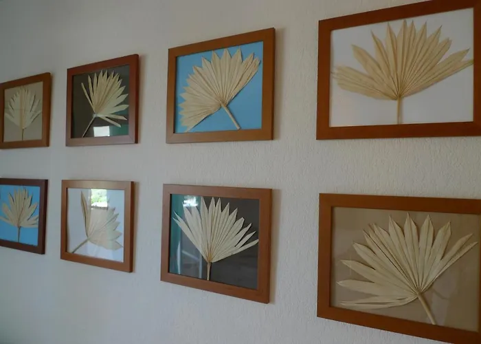 Nidu Accogliente In Balagna Apartment