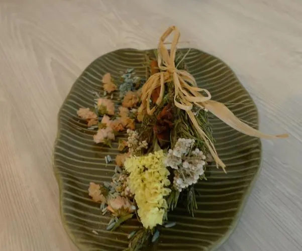 Nidu Accogliente In Balagna * LʼÎle-Rousse