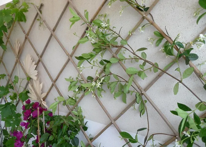 Nidu Accogliente In Balagna Appartement *