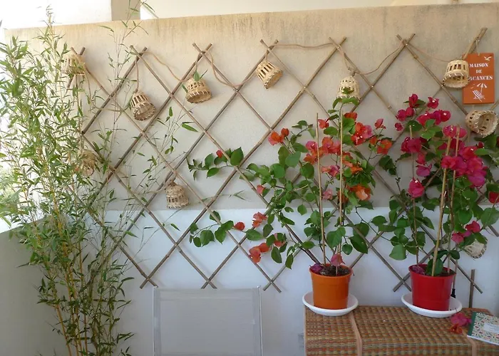 Apartment Nidu Accogliente In Balagna *