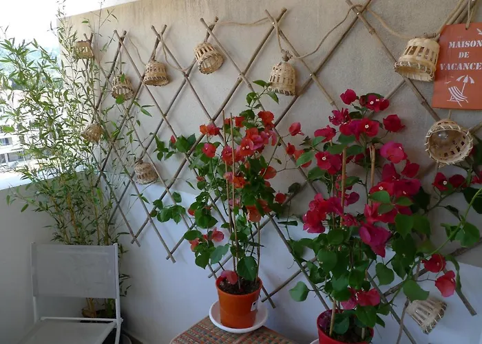 Nidu Accogliente In Balagna Appartement