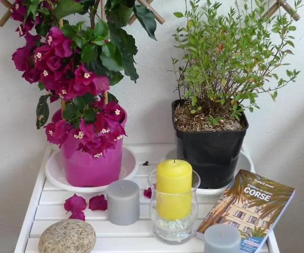 Nidu Accogliente In Balagna Apartment L'Ile-Rousse (Corsica)