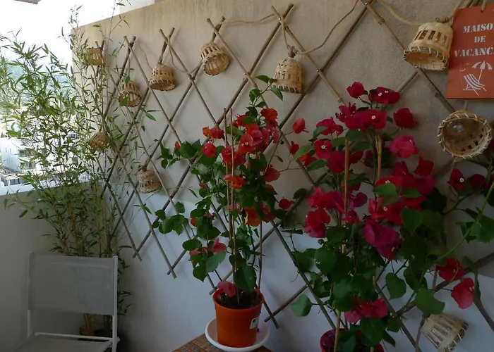 Apartment Nidu Accogliente In Balagna *