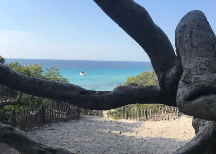 Apartment Nidu Accogliente In Balagna L'Ile-Rousse (Corsica)