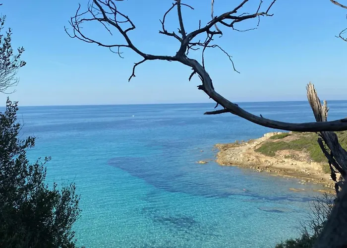 Appartement Nidu Accogliente In Balagna LʼÎle-Rousse