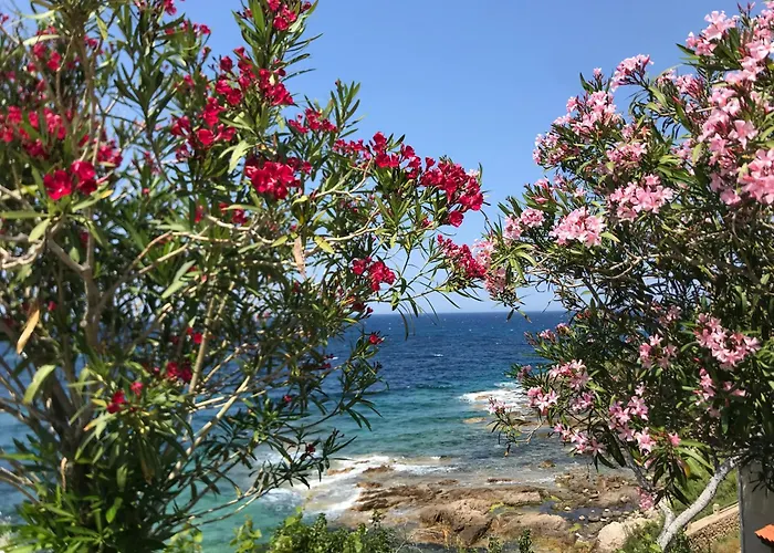 Apartment Nidu Accogliente In Balagna *